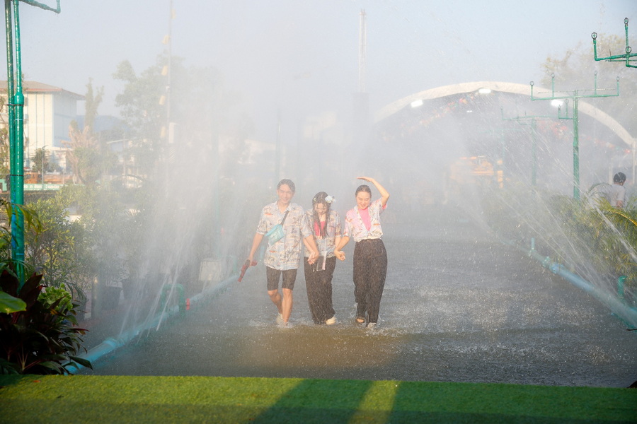 Image 003